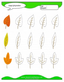 Çizgi Çalışma Sayfaları